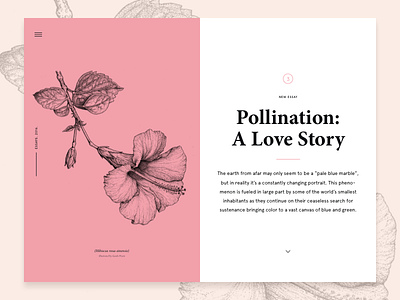 Science blog. 2. blog composition flower grid layout pink science typography website