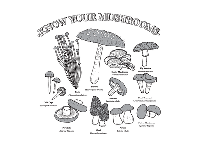 Mushroom Kingdom design food illustration