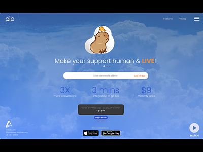 PIP.ooo, Adding LIVE Support for Startup Websites - Volcano founders idea live startup support website