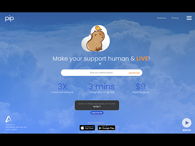 PIP.ooo, Adding LIVE Support for Startup Websites - Volcano
