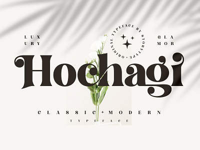 Hochagi Typeface 3d animation app branding design graphic design icon illustration logo motion graphics ui