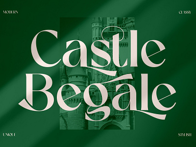 Castle Begale Typeface 3d animation app branding design graphic design icon illustration logo ui