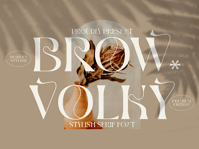 BROW VOLKY Typeface 3d animation app branding design graphic design icon illustration logo motion graphics ui