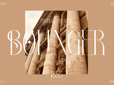 Bolinger Typeface 3d animation app branding design graphic design icon illustration logo ui