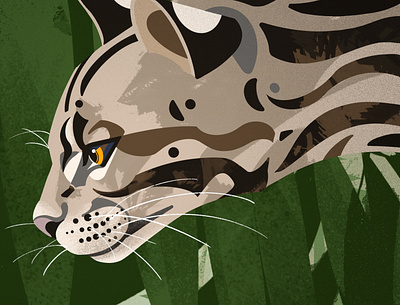 Ocelot branding design icon illustration packaging