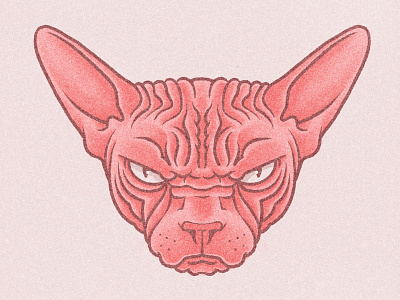 Grumpy Cat character design design digital drawing illustration