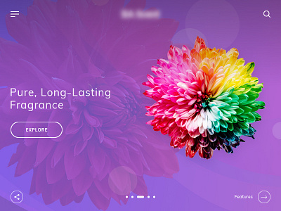 Fragrance - Homepage Design colorfull web layout flower fragrance homepage design scent ui deisgn web layout