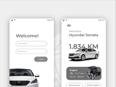 Hyundai Controll App app branding graphic design ux
