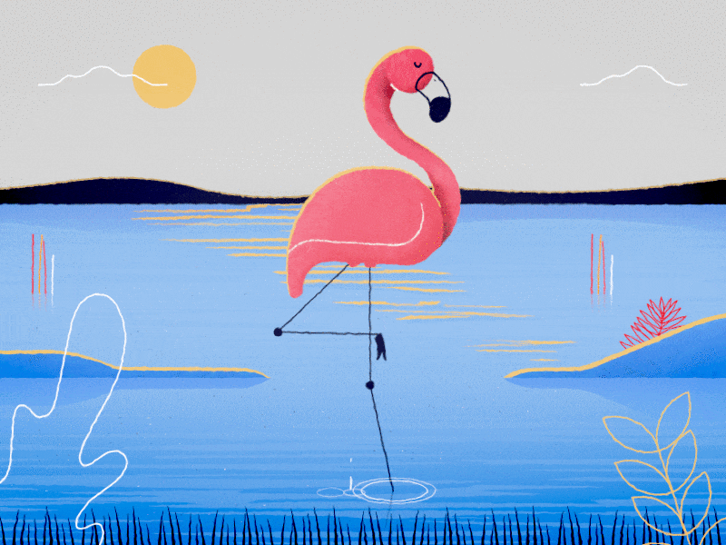 This is how we chill... animation flamingo lake outdoors plants sunset