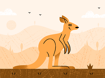 Kangaroo adobeillustrator art artwork design dribbble illustration procreate vector