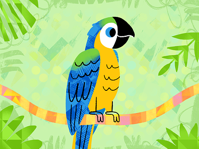 Blue-yellow Macaw art artwork colorful dribbble illustration macaw photoshop procreate