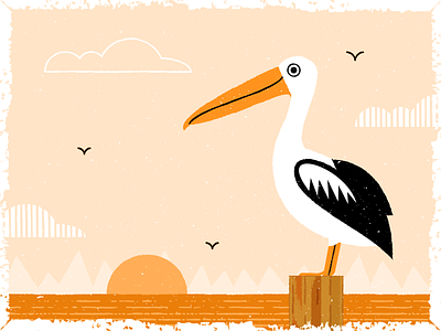 Sunset Pelican adobeillustrator art artwork design dribbble illustration pelican sunset vector