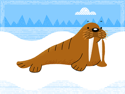 Walrus adobeillustrator art artwork chilling design dribbble illustration vector walrus