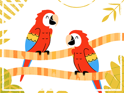 Macaws