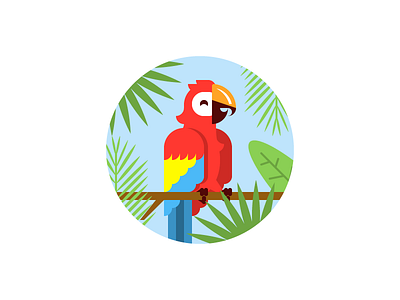 Scarlet Macaw