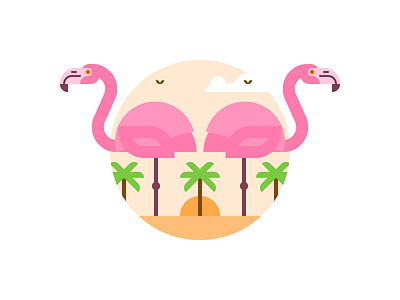 Flamingos