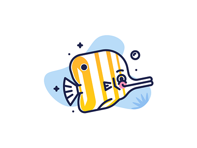 Copperband Butterflyfish