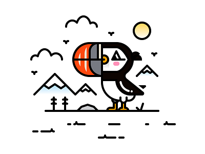 Puffin