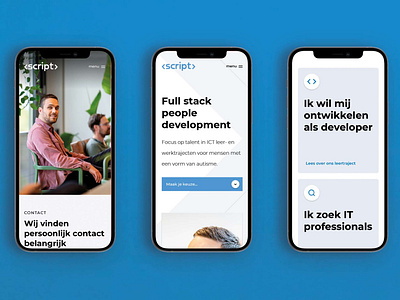 Web design for the branding of Script