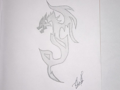 Dragon logo design icon illustration logo