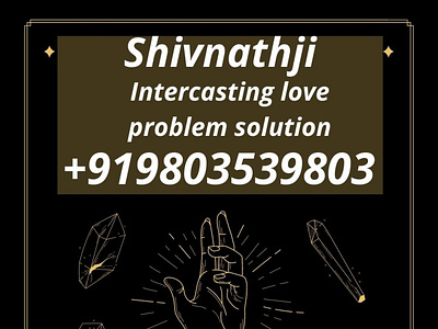 Family problem solution famous astrologers 9803539803