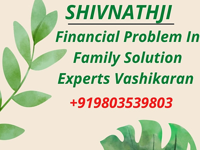 Childless problem solution experts astrologers 9803539803