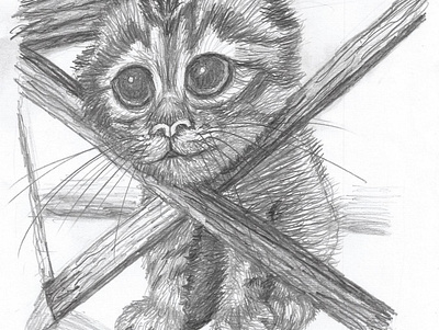 Little kitten animal artwork black and white cute drawing fine art fineart fur graphite pencil graphite pencil drawing illustration kitten little nature pencil realism traditional traditional drawing traditional dry media