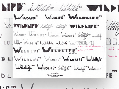 Thirty Logos : Wildlife - Concept Sketch