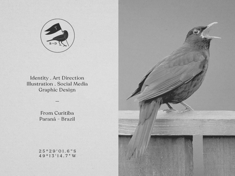 Turdus - Branding & Design social media illustration art director identity design graphicdesign branding turdus