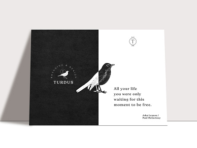 Turdus beatles black black white blackbird branding design folder graphicdesign lennon mccartney turdus white