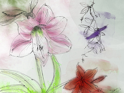 Flowers in Watercolor flowers garden light nature nurture paint soft watercolor