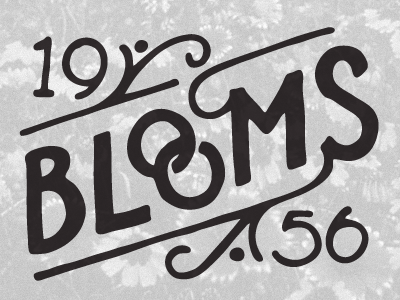 1956 Blooms WIP blooms flourishes lettering ligatures typography wip