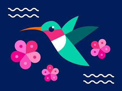 Hummingbird bird flower geometric hummingbird illustration shapes spring vector
