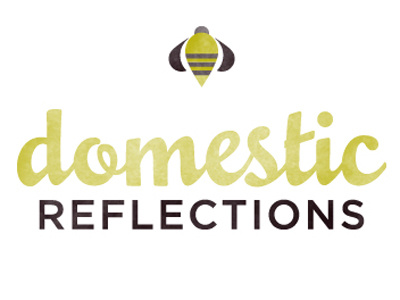 domestic refections draft banner blog web design
