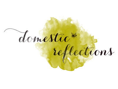 domestic refections draft2 banner blog web design
