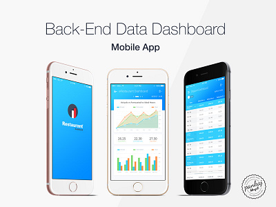 Back End Data App Dashboard app back end chart dashboard data mobile app report screen stats table