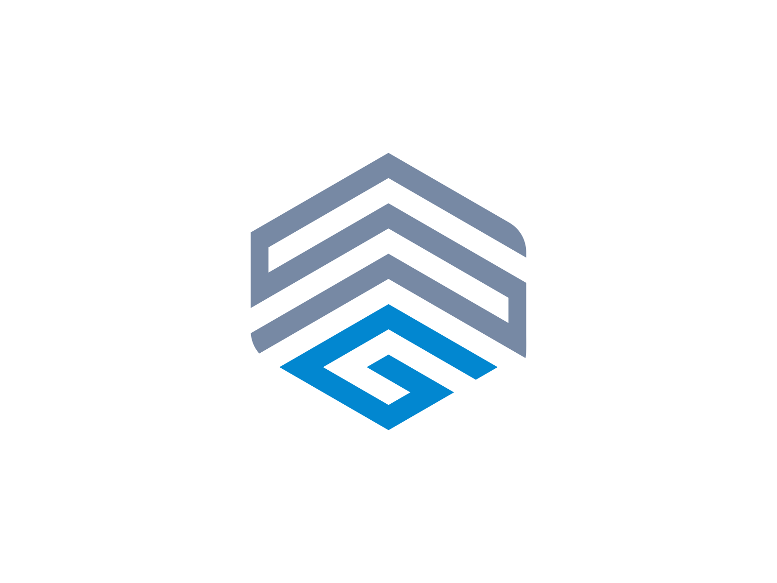 SG LOGO DESIGEN INSPIRATION by Brahamb_logo on Dribbble