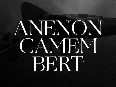 Anenon Camembert