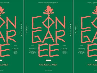 Type Hike - Congaree Nat'l Park
