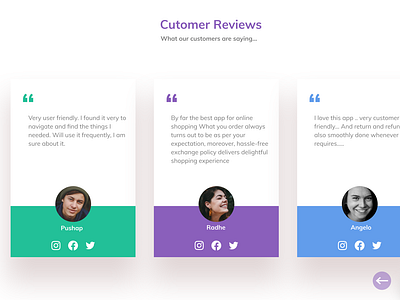 User Review Section