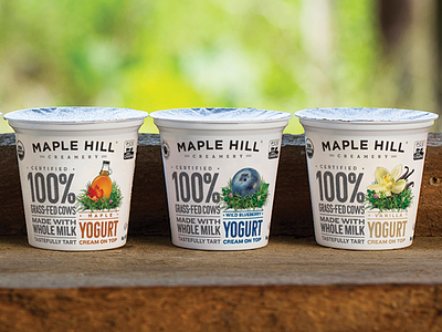 Maple Hill 6oz Cream-Line cream line dairy grass fed maple hill creamery organic packaging packaging design rebrand yogurt