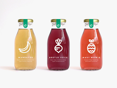 Juice Packaging bottles clean fruit icon illustration juice minimalist packaging