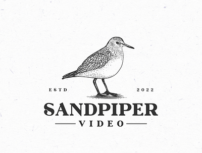 Design a logo bird logo branding design graphic design illustration lineart logo sandpipe sandpiper logo vector vintage