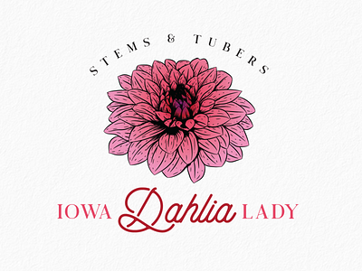 Logo for flower dahlias branding dahlia design floral flower graphic design hand drawing illustration lineart logo logo design vector