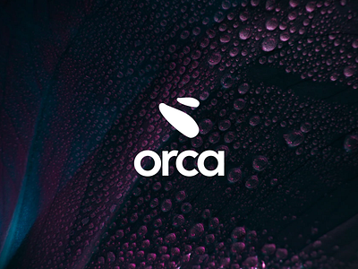 Orca Digital - Logo branding design logo typography vector