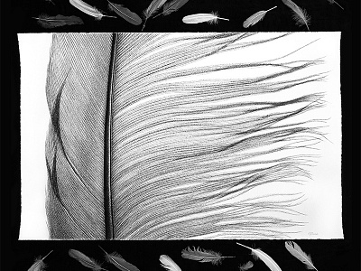 Quill on Paper - Drawing art drawing feather hyperreal illustration pen on paper quill realistic sketch
