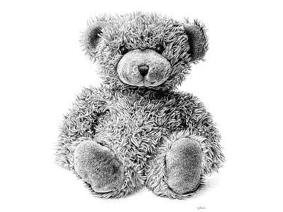 Teddy Drawing art bear drawing hyperreal illustration pen on paper realistic sketch teddy toy