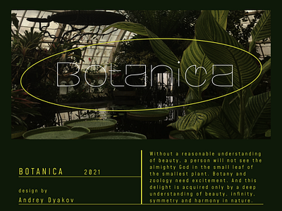 Botanica aesthetics design figma graphic design illustration like logo tilda typography ui