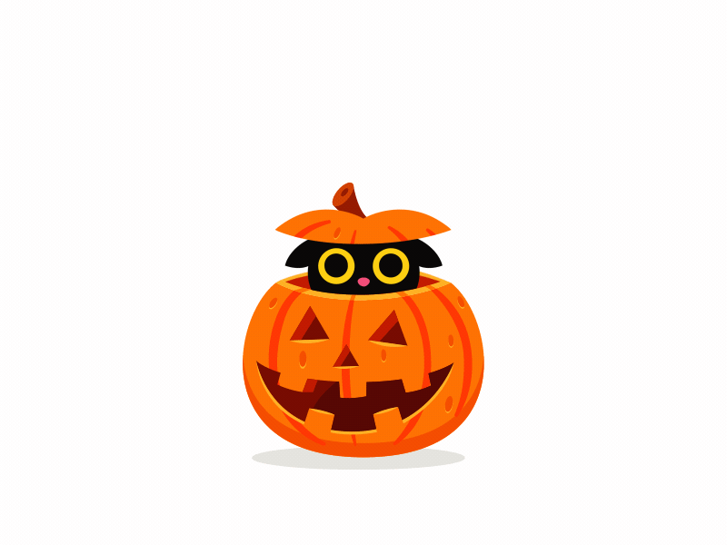 The Pumpcat animation cat character motion graphics pumpkin