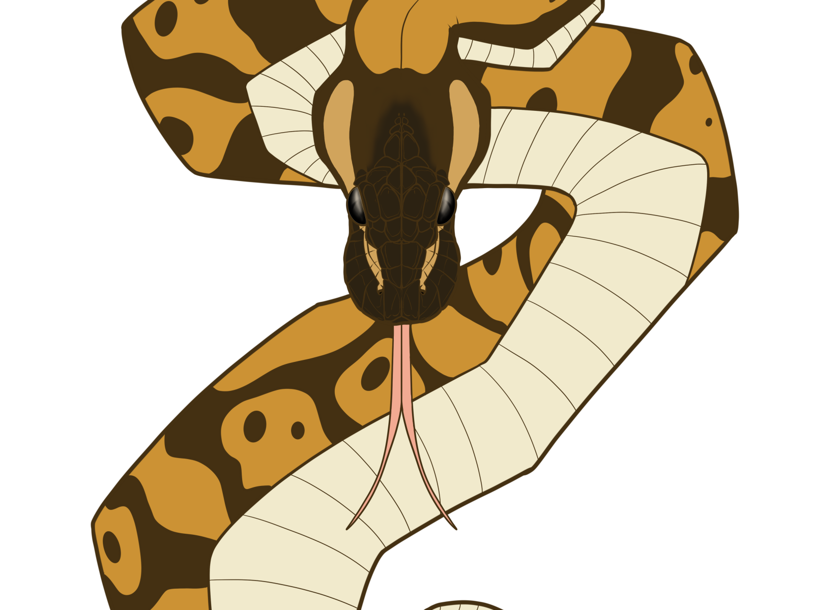 Ball Python Clipart